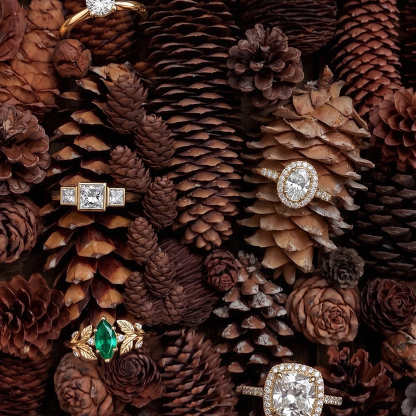 Diamantringe zwischen Tannenzapfen und Herbstblättern