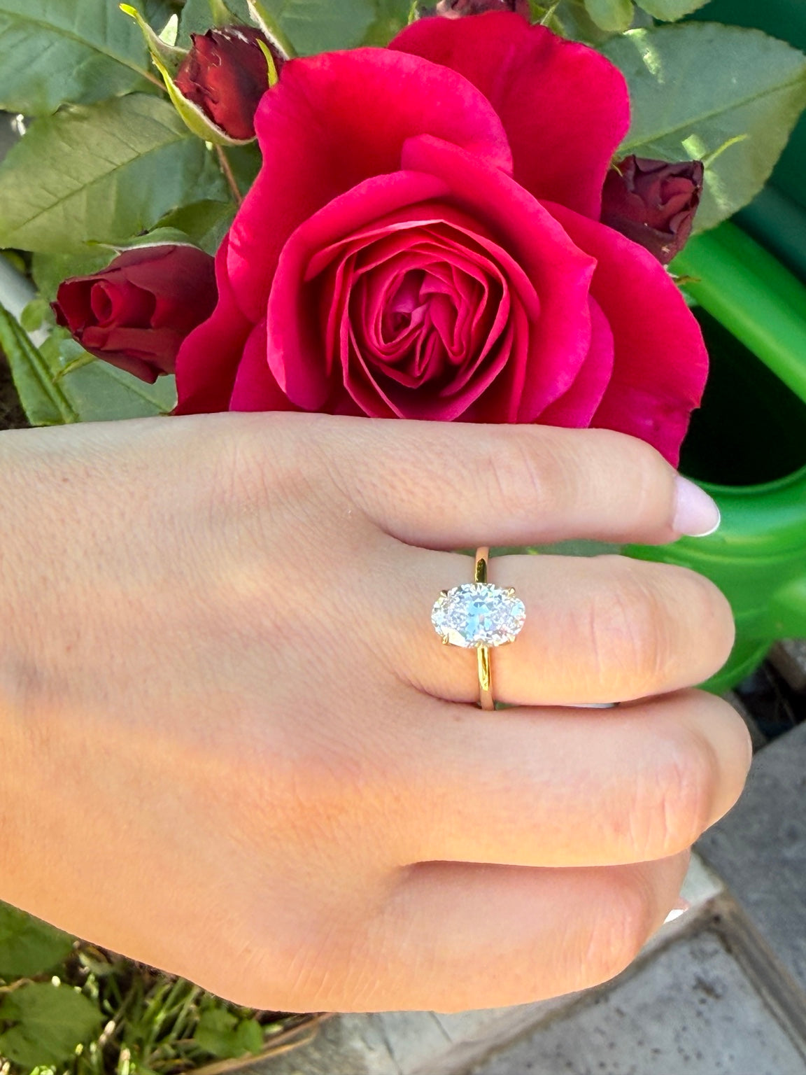 Ovaler Diamantring aus Gelbgold an einer Hand vor einer roten Rose
